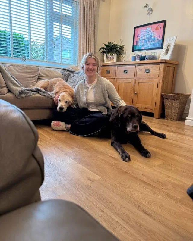 Lucy relaxing in a living room with a golden retriever and a black labrador